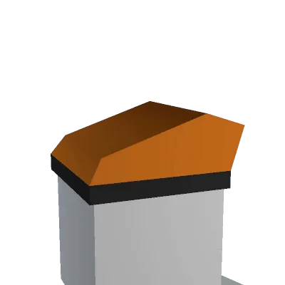 Experienced Beret