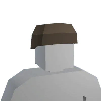 Raccoon Hat - Unturned hat