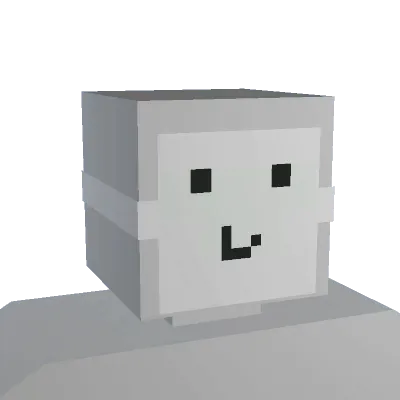 Disguise Mask - Unturned mask