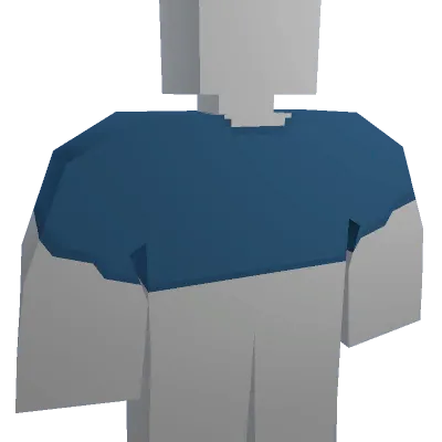 Blue Crop Top - Unturned shirt