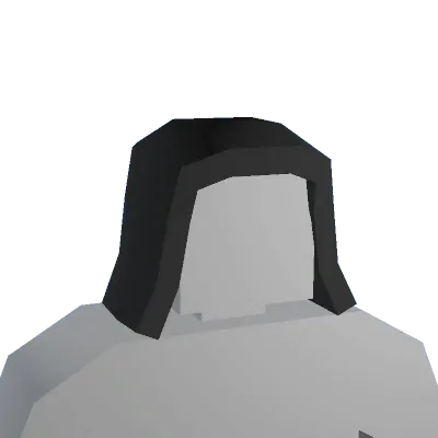 Aprix Stealth Bandit Hood - Unturned hat
