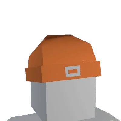 Orange Beanie - Unturned uncommon cosmetic
