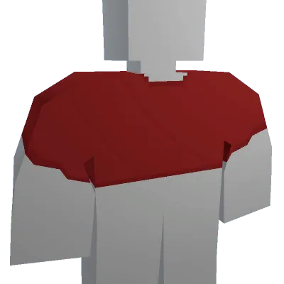 Red Crop Top - Unturned shirt