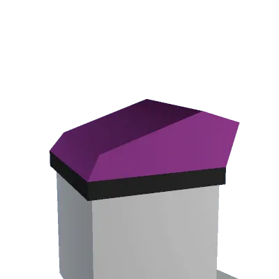 Debugger's Beret