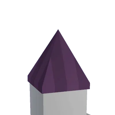 Purple Birthday Party Hat - Unturned hat