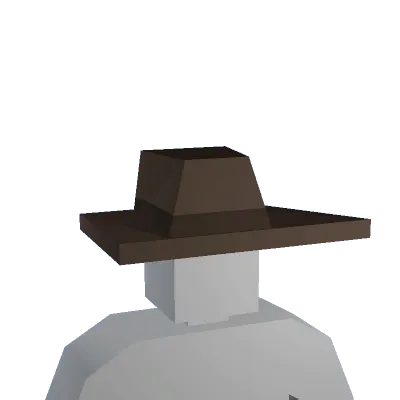 Classic Stetson - Unturned hat