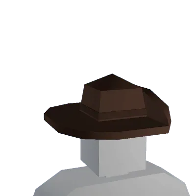 Explorer Hat
