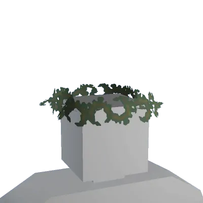Olive Leaf Crown - Unturned hat